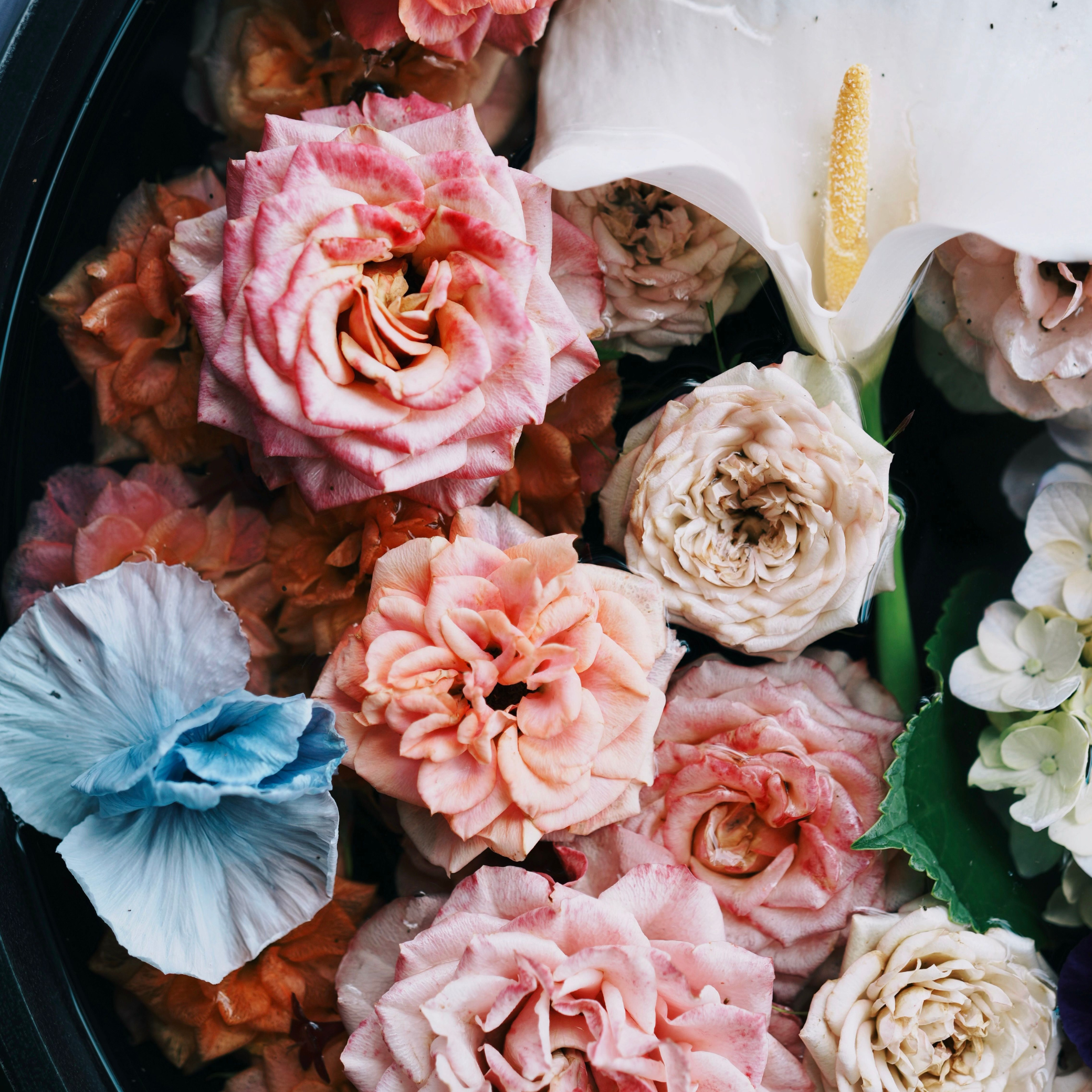 Floral