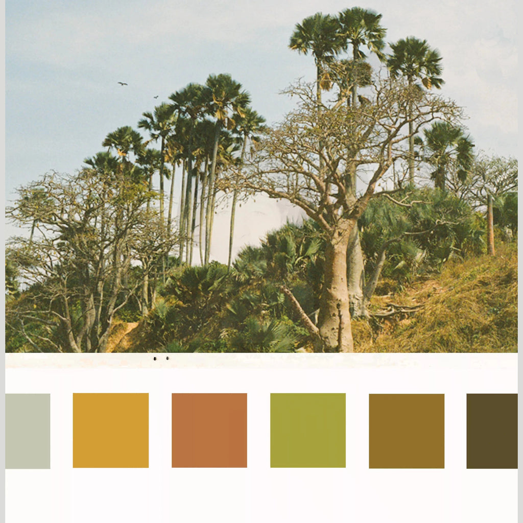 Maya Nije - Aethi Opum