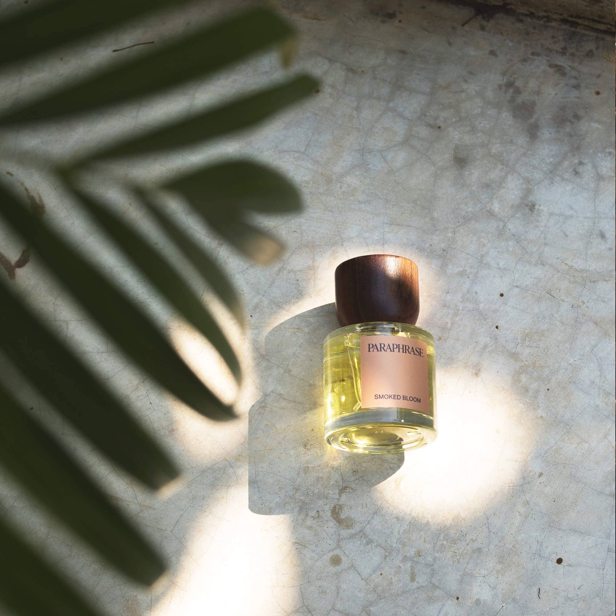 Smoked Bloom perfume bottle in palm leaf shadow on concrete