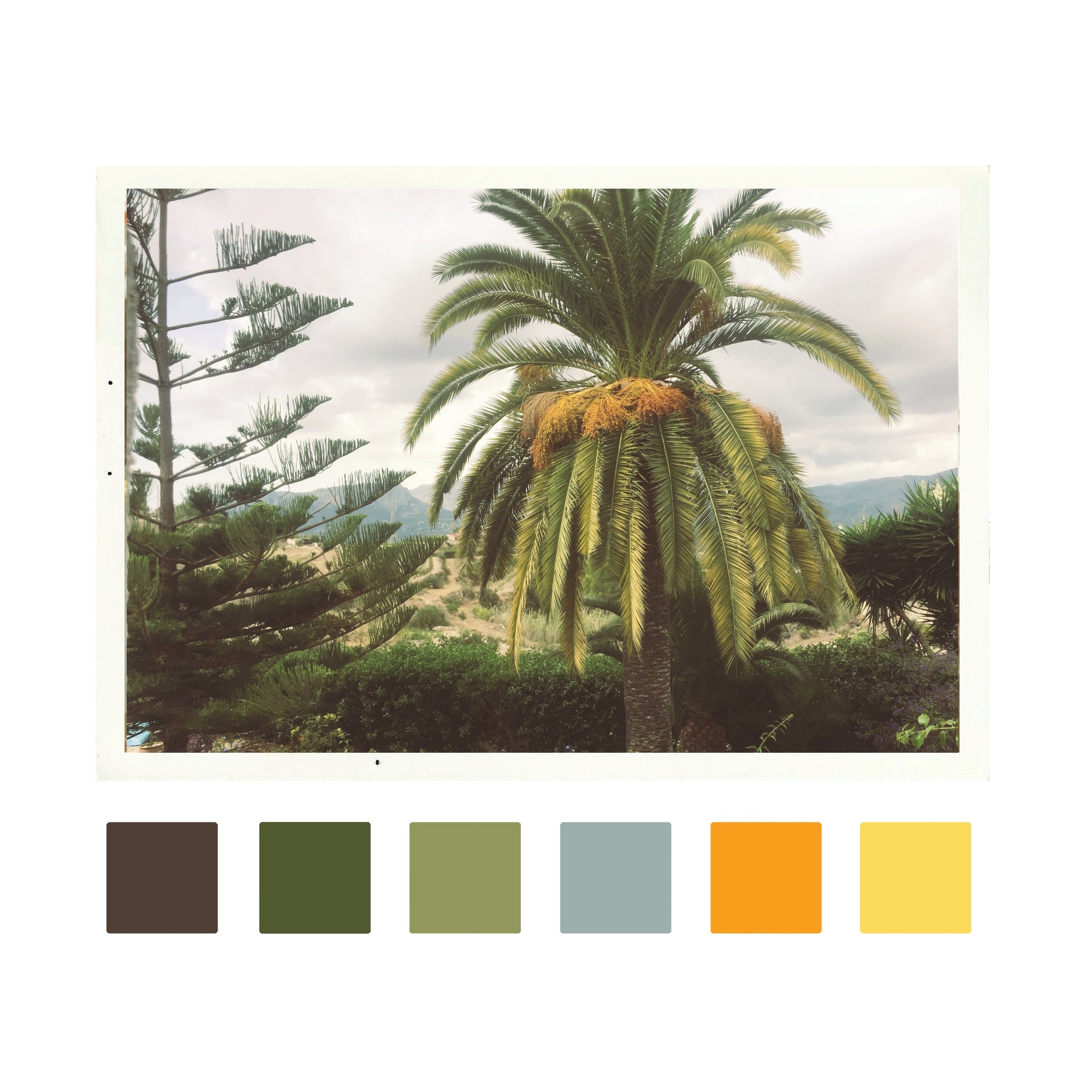Maya Nije - Tropica