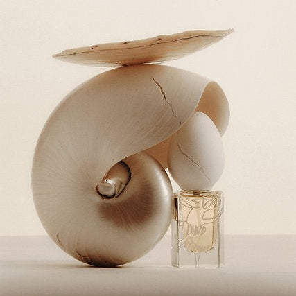 Perfume Who - At Land
