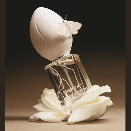 Perfume Who - Meshes of the Afternoon