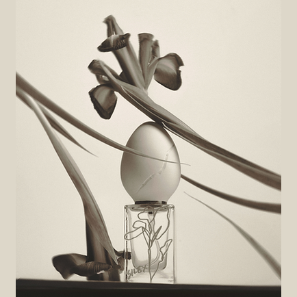 Perfume Who Silex fragrance with iris flowers and textured spherical base