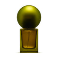 Stora Skuggan Pine Eau de Parfum in amber-green glass with olive cap