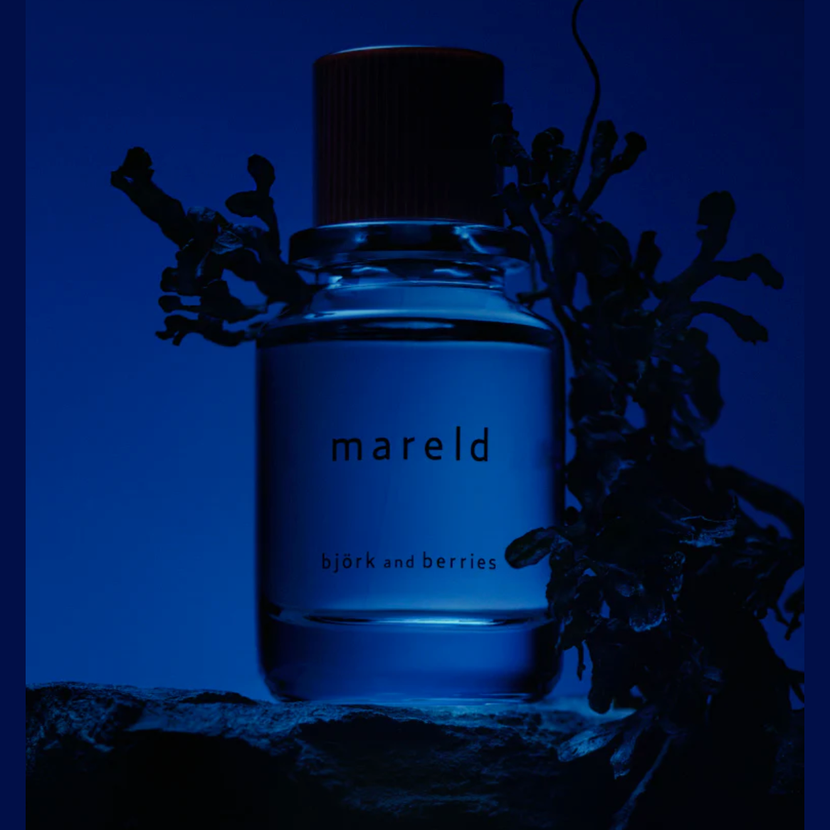 Bjork and Berries - Mareld