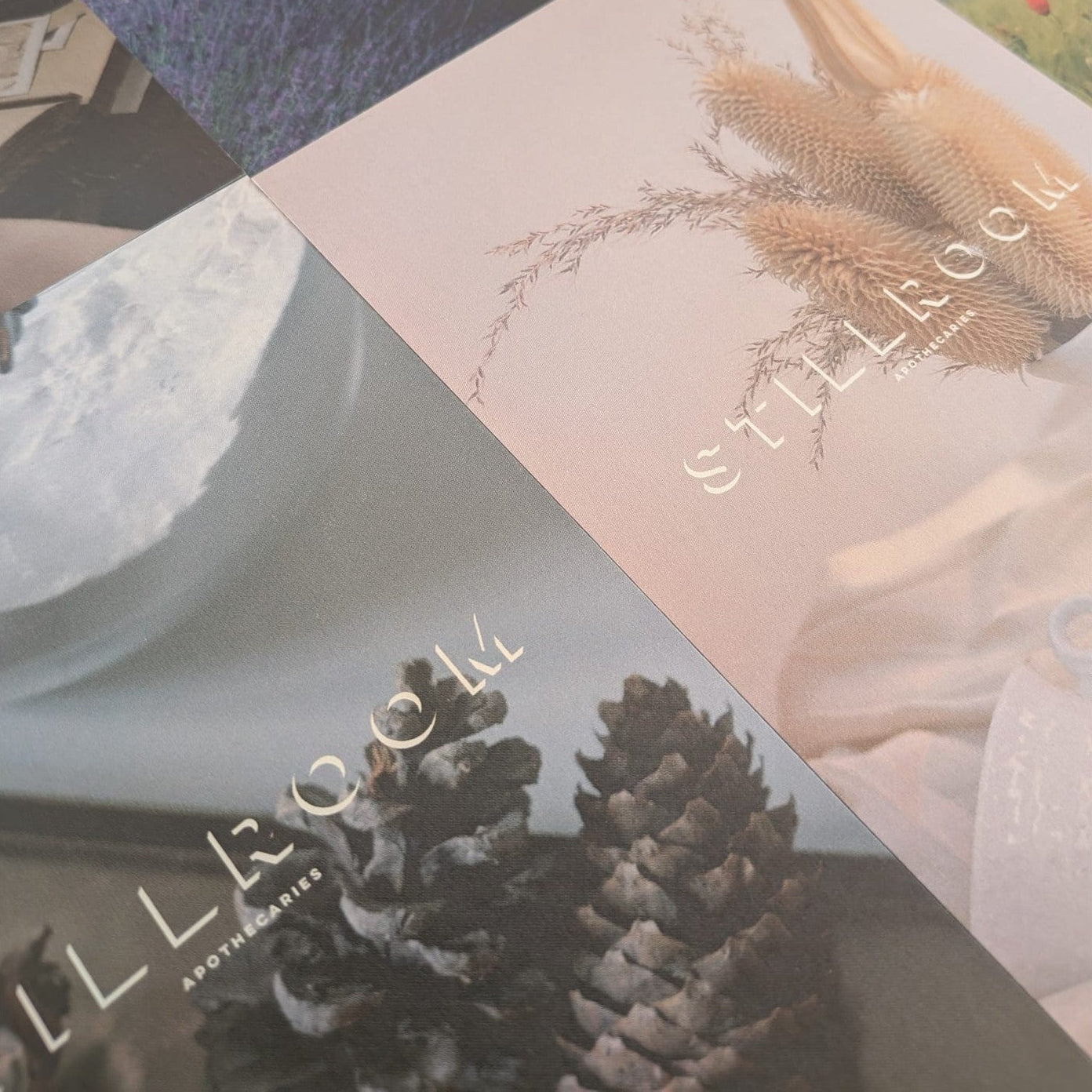 Collage of four cards with nature-themed designs featuring plants and text.